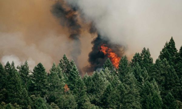 Υψηλός κίνδυνος πυρκαγιάς σε επτά περιοχές