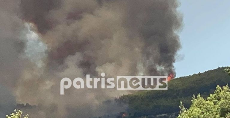 Ανεξέλεγκτη η φωτιά στην Ηλεία: Εκκενώνεται το Χελιδόνι