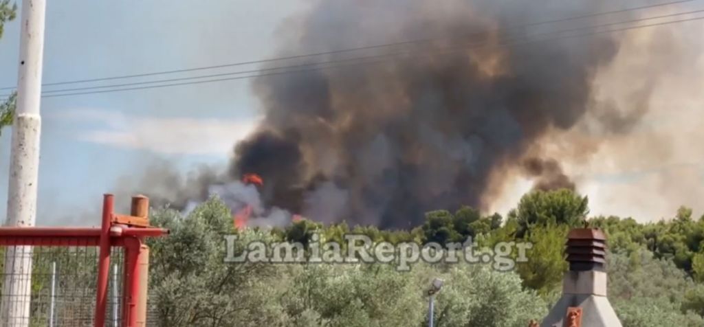 Μεγάλη φωτιά και στον Θεολόγο Φθιώτιδας