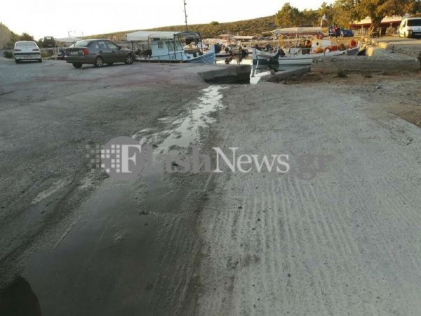 Απίστευτο : Ποντίκια ευθύνονται για τη ρύπανση της θάλασσας με λύματα στα Χανιά