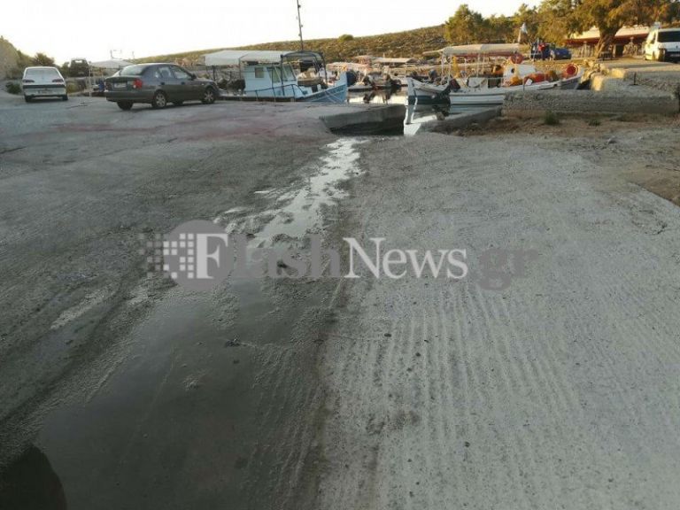 Απίστευτο : Ποντίκια ευθύνονται για τη ρύπανση της θάλασσας με λύματα στα Χανιά