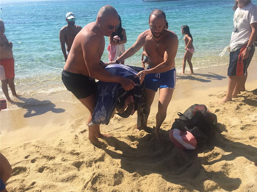 Νάξος : Τραυματισμένη χελώνα βγήκε στην παραλία - Την έσωσαν λουόμενοι