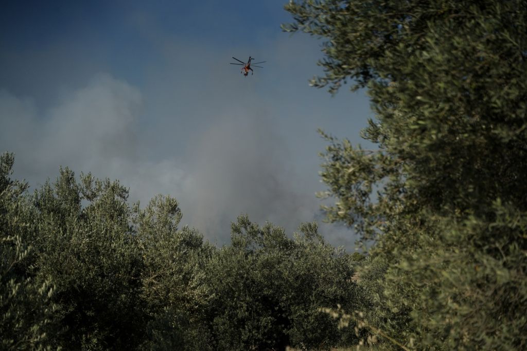 Φωτιές: Για πέμπτη ημέρα καίνε οι Κεχριές – Υψηλός κίνδυνος πυρκαγιάς την Κυριακή