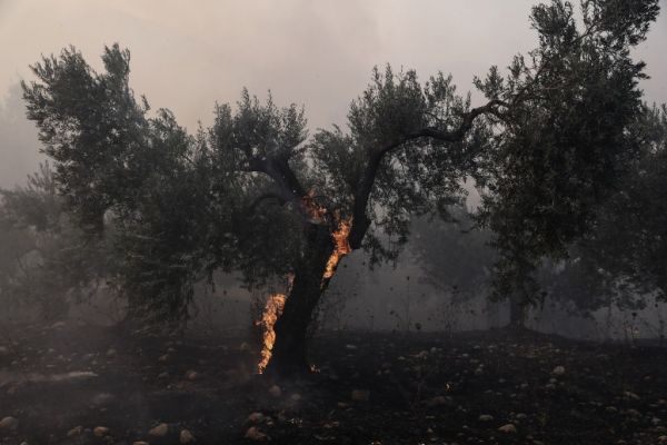 Κεχριές: Δεύτερο βράδυ μάχης με τις φλόγες – Καλύτερη εικόνα παρουσιάζει η πυρκαγιά