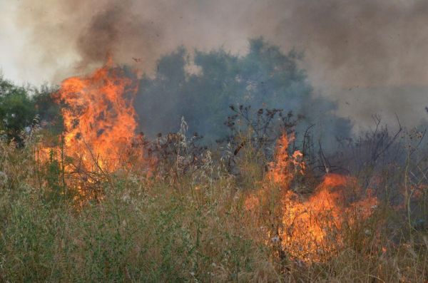 Μεγάλη φωτιά στη Λούτσα