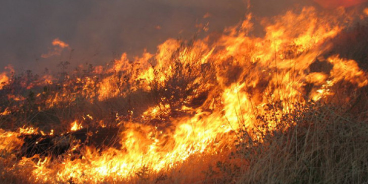 ΓΓΠΠ: Υψηλός ο κίνδυνος πυρκαγιάς τη Δευτέρα - Σε ποιες περιοχές