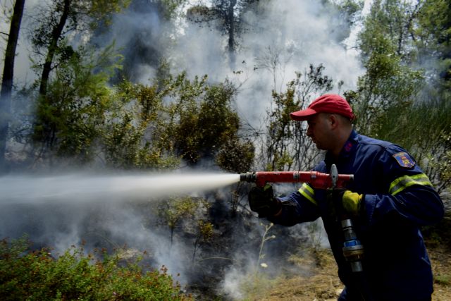 Μεγάλη πυρκαγιά στη Μάνη – Σε επιφυλακή οι Αρχές για εκκένωση οικισμού