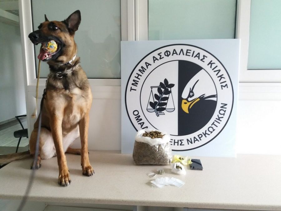 Θεσσαλονίκη : Η Minnie ξετρύπωσε κοκαΐνη σε σπίτι στην Ευκαρπία