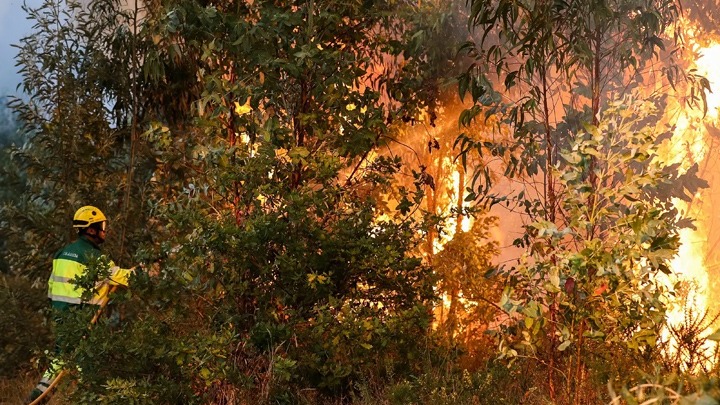 Πορτογαλία: Μάχη με τις φλόγες δίνουν οι πυροσβέστες - Εκκενώθηκαν σπίτια