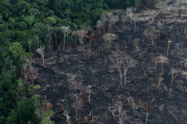 Αμαζόνιος : Δραματικές εικόνες από νέες πυρκαγιές