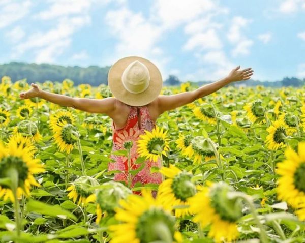 Αστρολογικές προβλέψεις για την Τρίτη 4 Αυγούστου