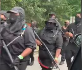 Γιατί έκαναν πορεία στην Τζόρτζια οπλισμένοι διαδηλωτές