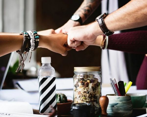 Αυτά τα ζώδια είναι τα πιο… έμπιστα