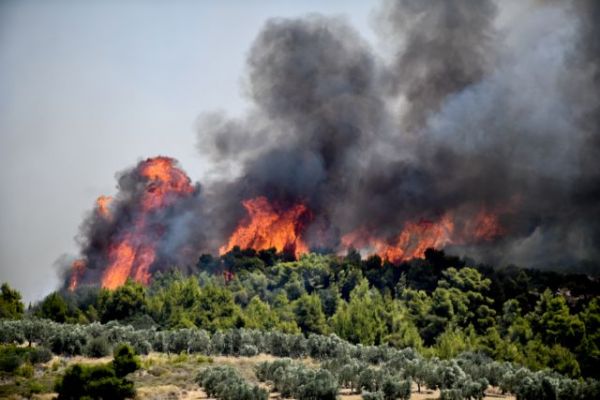 Φωτιά στις Κεχριές : Θρίλερ με την εκκένωση του Σοφικού – Σε κατάσταση έκτακτης ανάγκης η αν. Κορινθία