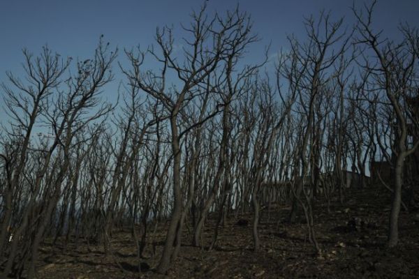 Καταθέσεις – «φωτιά» για Μάτι: Η ηγεσία της Πυροσβεστικής αγνόησε τις εκκλήσεις για εναέρια μέσα
