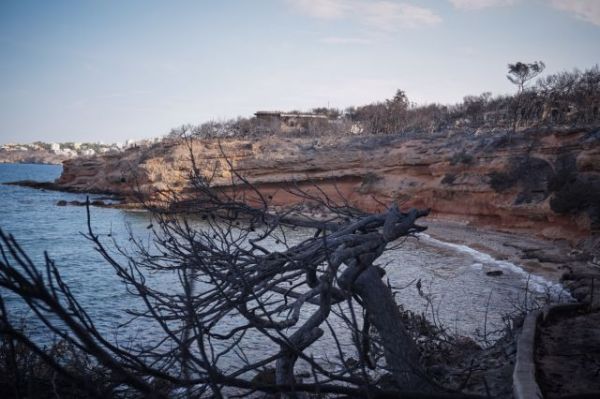 Μάτι : Η σύζυγος του δημάρχου Ραφήνας περιγράφει τις δραματικές στιγμές που έζησε στη φωτιά