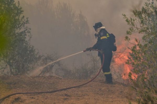 Σε ύφεση βρίσκεται η φωτιά στην Κεφαλονιά – Δύο πύρινα μέτωπα στην Ηλεία