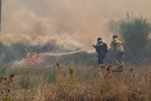 Φωτιά στην Ωλένη Ηλείας σε δασική έκταση – Μεγάλη κινητοποίηση της Πυροσβεστικής