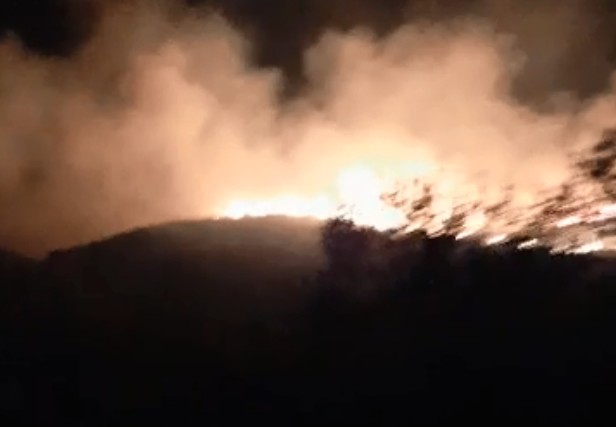 Συναγερμός στην Πυροσβεστική : Μεγάλη φωτιά στην Κεφαλονιά
