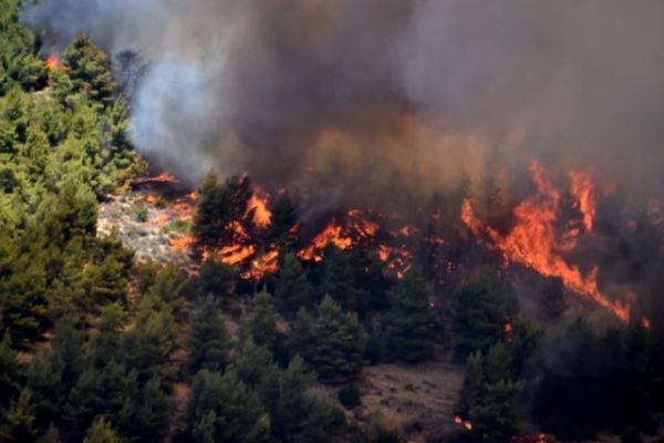 Μεγάλη φωτιά στη Μάνη: Εκκενώνεται προληπτικά οικισμός