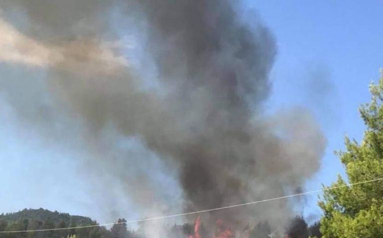 Οριοθετήθηκε η φωτιά στις Ροβιές Ευβοίας – Δεν απειλούνται κατοικίες