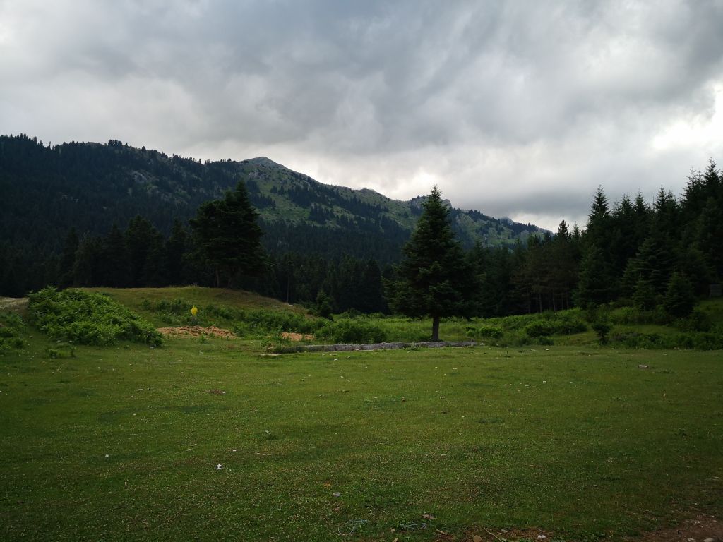 Δίκτυο Πίνδος : Ένας «πιλότος» για μια εθνική πολιτική για τις ορεινές περιοχές