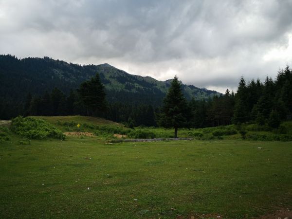 Δίκτυο Πίνδος : Ένας «πιλότος» για μια εθνική πολιτική για τις ορεινές περιοχές