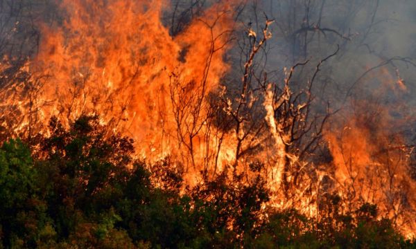 Φωτιά σε δασική έκταση στη Ρόδο