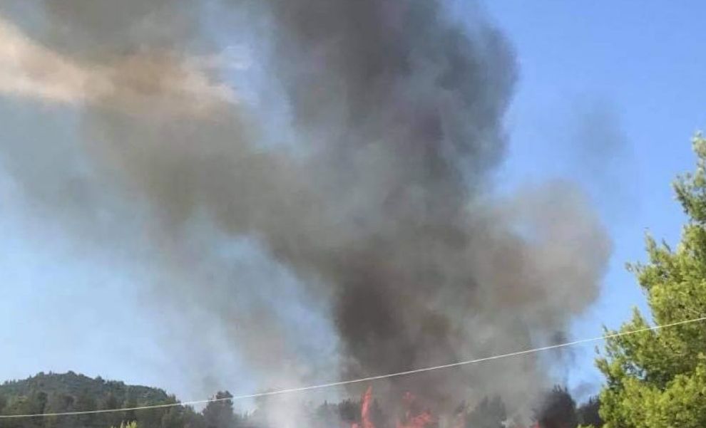 Μεγάλη φωτιά σε δασική έκταση στις Ροβιές Ευβοίας – Κοντά σε σπίτια οι φλόγες