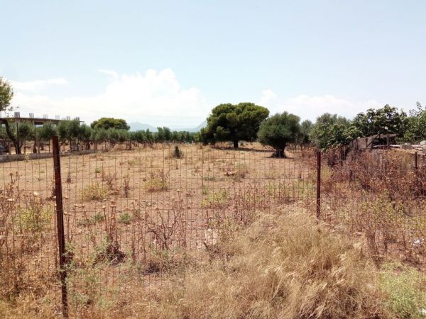 Οικόπεδα εκτός σχεδίου : «Βόμβα» στην περιουσία χιλιάδων ιδιοκτητών