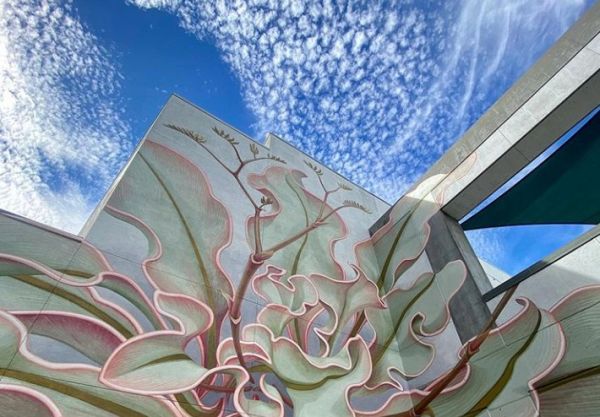 «Limonium»: Ένα λουλούδι που «ανθίζει» σε έξι τοίχους