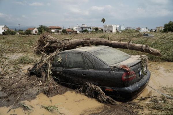 Δήμαρχος Τανάγρας στο MEGA : Κατάσταση εκτάκτου ανάγκης στην περιοχή
