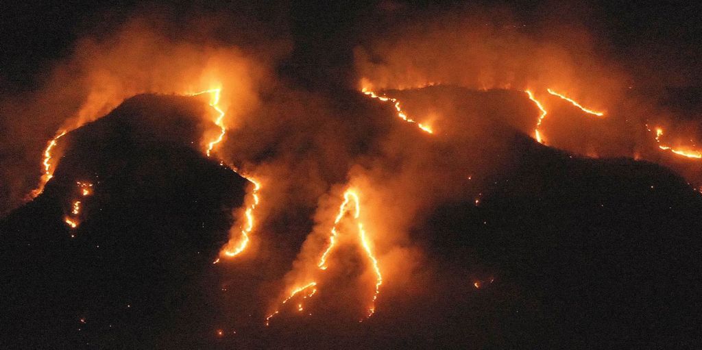 Στις φλόγες ο Αμαζόνιος - Πυρκαγιά σε Εθνικό Δρυμό στην Καλιφόρνια