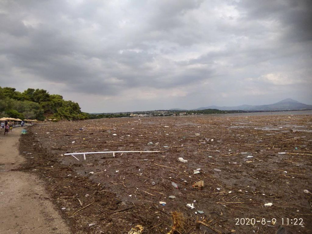 Απίστευτες εικόνες: Οι πλημμύρες της Εύβοιας «αφάνισαν» τις παραλίες στο Δήλεσι – Φερτά υλικά και φίδια παντού