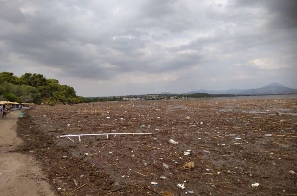 Απίστευτες εικόνες: Οι πλημμύρες της Εύβοιας «αφάνισαν» τις παραλίες στο Δήλεσι – Φερτά υλικά και φίδια παντού