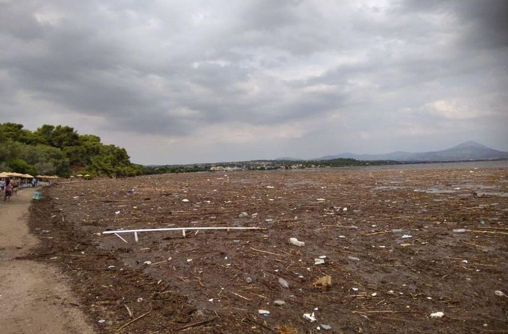 Απίστευτες εικόνες: Οι πλημμύρες της Εύβοιας «αφάνισαν» τις παραλίες στο Δήλεσι – Φερτά υλικά και φίδια παντού