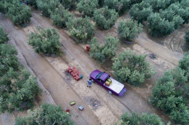 Νέα ΚΥΑ για επενδύσεις 500.000 ευρώ στην πρωτογενή παραγωγή