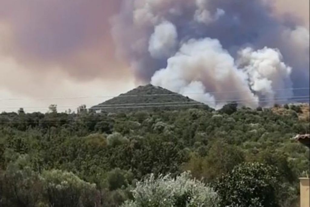 Πυρκαγιά στη Μάνη : Διάσπαρτες εστίες φωτιάς, χιλιάδες στρέμματα δάσους καταστράφηκαν