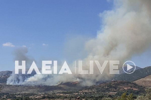 Μεγάλη φωτιά τώρα στην Αρχαία Ολυμπία : Ενισχύθηκαν οι δυνάμεις της Πυροσβεστικής
