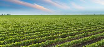 Ο έξυπνος μετασχηματισμός του οικοσυστήματος της ελληνικής γεωργίας