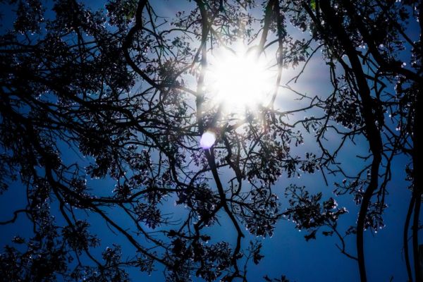 Καιρός : Ζέστη και σήμερα – Βροχές από την Τρίτη