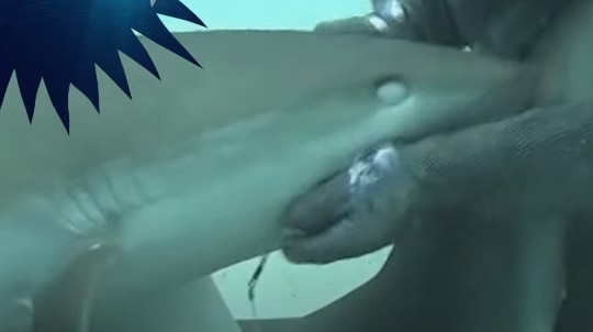 Μέσα στα σαγόνια του καρχαρία… κυριολεκτικά