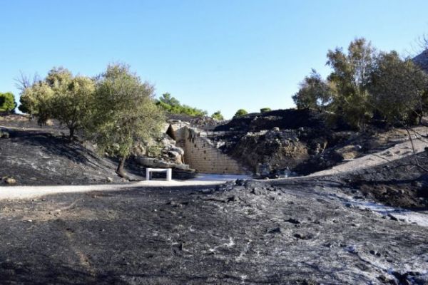 Τσίπρας για φωτιά στις Μυκήνες : Η στάση της κυβέρνησης προκαλεί οργή