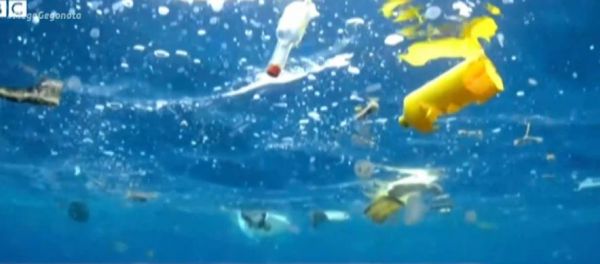 Σε υδάτινη χωματερή έχει μετατραπεί ο Ατλαντικός Ωκεανός – Θλιβερές εικόνες