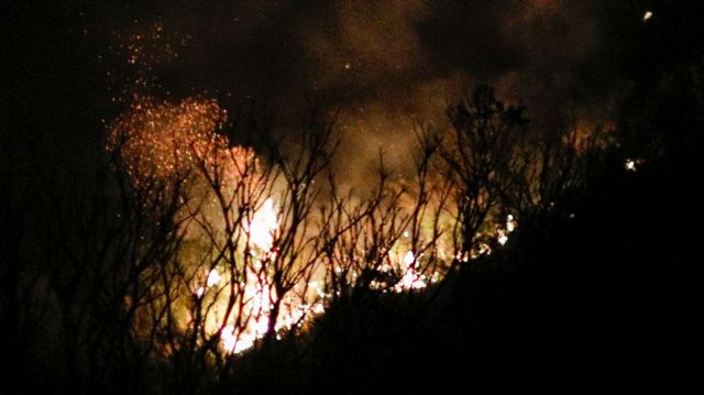 Πάνω από 200 στρέμματα δάσους έχουν καεί στον Αγιο Στέφανο Κέρκυρας