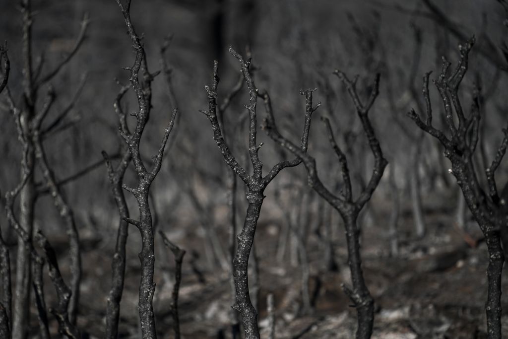 Χανιά: Σε ύφεση μετά από τρεις μέρες η φωτιά