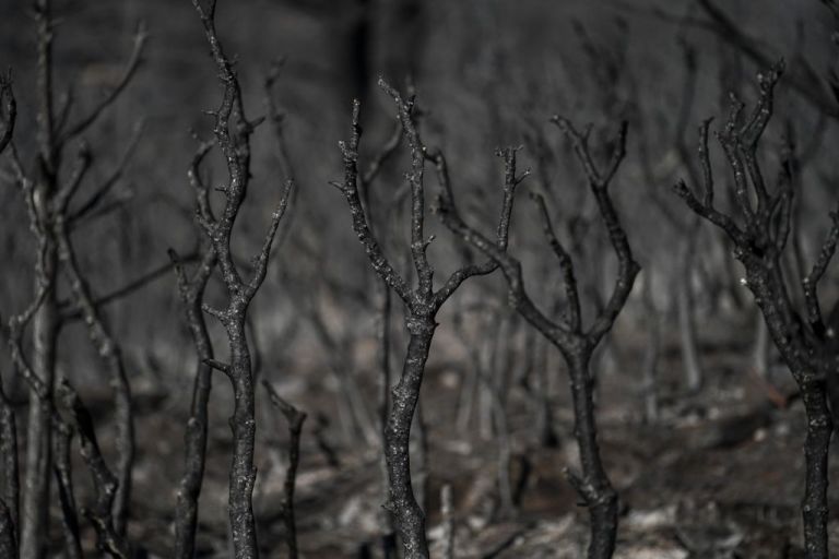 Χανιά: Σε ύφεση μετά από τρεις μέρες η φωτιά