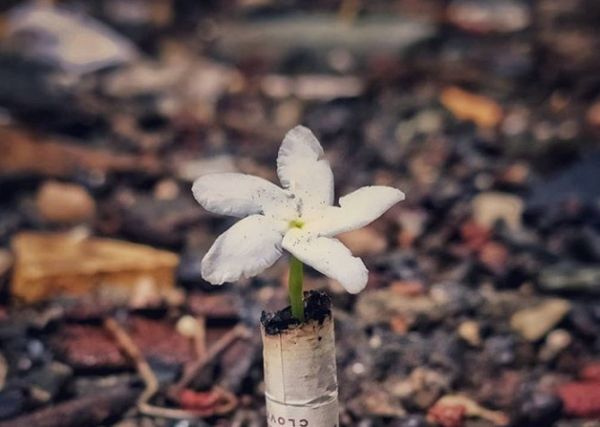 Πακέτα τσιγάρων με περιβαλλοντικές ανησυχίες