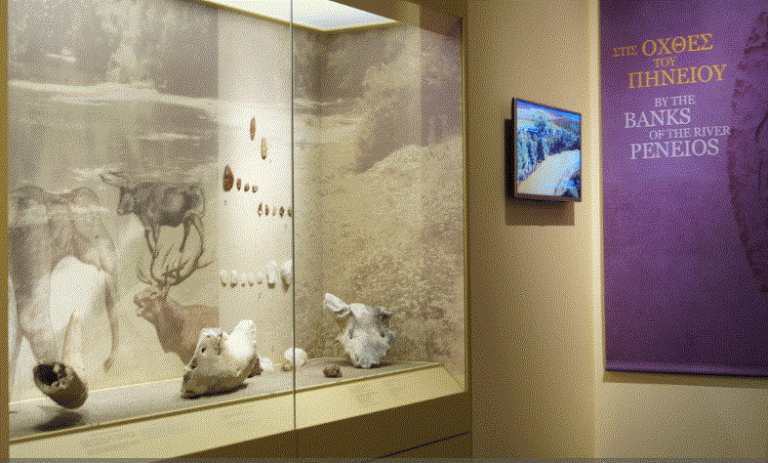 Στον Πηνειό ζούσαν κάποτε ελέφαντες, ιπποπόταμοι και ρινόκεροι