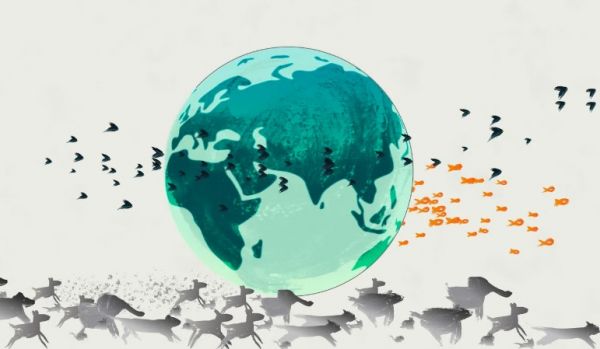 «Extinction Emergency and Why We Must Act Now»: Η απειλή της κλιματικής αλλαγής στο μικροσκόπιο